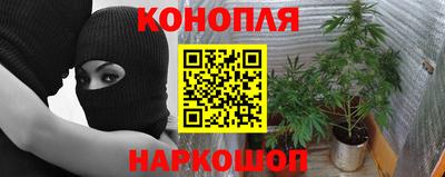 ALPHA PVP Лесосибирск