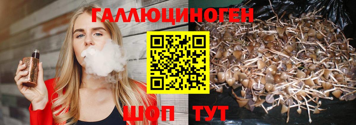 Краснотурьинск  Галлюциногенные грибы мухоморы  Вход с VPN  Псилоцибиновые грибы прущие грибы 